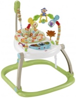 Zdjęcia - Chodzik Fisher Price CHN38 