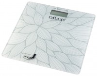 Фото - Ваги Galaxy GL4807 