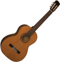 Zdjęcia - Gitara Alvarez AC460U 