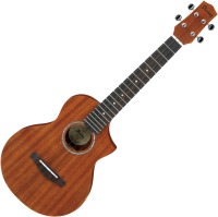 Zdjęcia - Gitara Ibanez UEWT5 