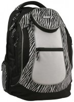 Фото - Шкільний рюкзак (ранець) KITE Take'n'Go K15-804-2L 