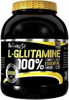 Zdjęcia - Aminokwasy BioTech 100% L-Glutamine 500 g 