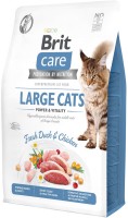 Karma dla kotów Brit Care Grain-Free Large Power and Vitality  2 kg