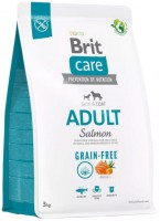 Zdjęcia - Karm dla psów Brit Care Grain-Free Adult Salmon/Potato 3 kg
