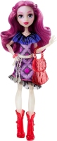 Фото - Лялька Monster High First Day of School Ari Huntington DPL86 