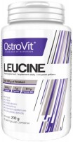 Амінокислоти OstroVit Leucine 200 g 