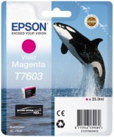 Zdjęcia - Wkład drukujący Epson T7603 C13T76034010 