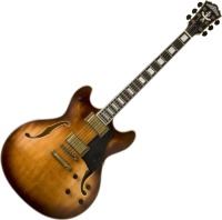 Zdjęcia - Gitara Washburn HB36K 