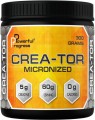 Powerful Progress Crea-Tor Micronized 300 g