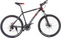 TRINX M136 2019 frame 17 