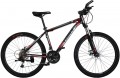 TRINX M116 2019 frame 19 