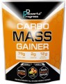Powerful Progress Carbo Mass Gainer 4 кг