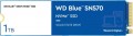 WD Blue SN570 WDS100T3B0C 1 TB