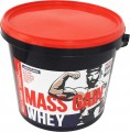 Megabol Mass Gain Whey 3 кг