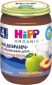 Hipp Organic Good Night Porridge 4 250 