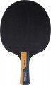 Butterfly Timo Boll Carbon 