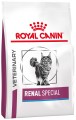 Royal Canin Renal Special Cat  500 g