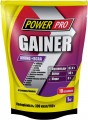 Power Pro Gainer Amino/BCAA 2 кг