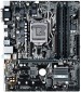 Asus PRIME B250M-A