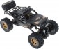 Plamennyj Motor Crawler Buggy Panther 1:12