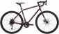 Pride RocX Tour 2020 frame L