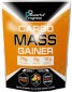 Powerful Progress Carbo Mass Gainer