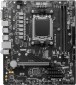 MSI PRO A620M-E