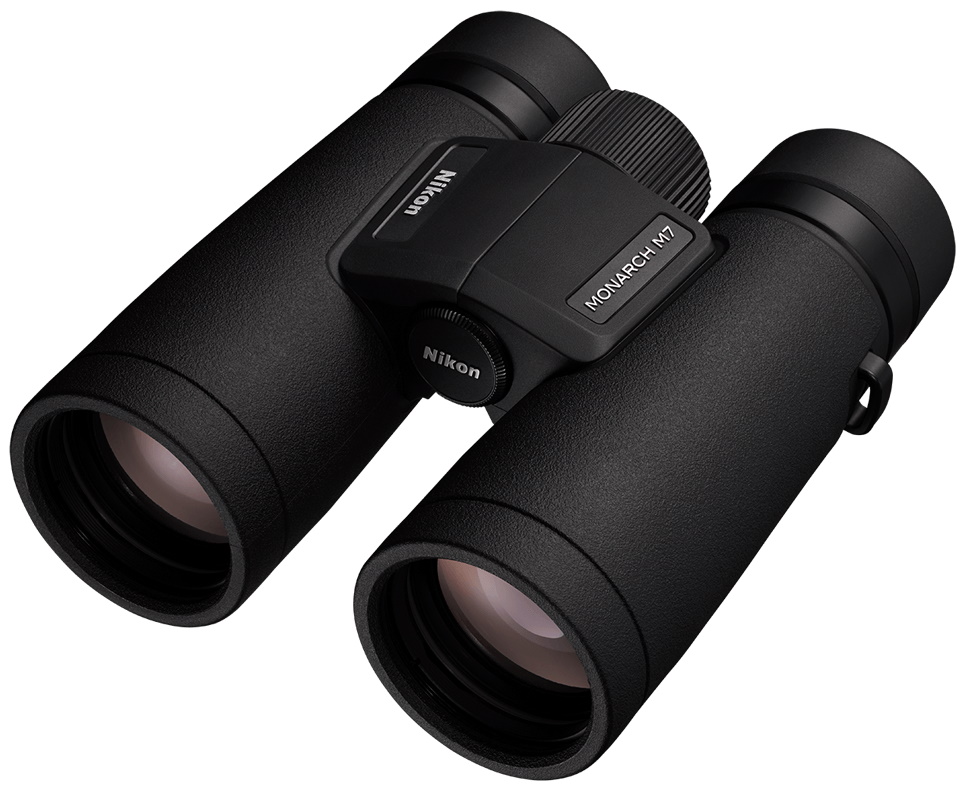 ▷ BX-5 SANTIAM HD 10x50 PRISMÁTICOS LEUPOLD