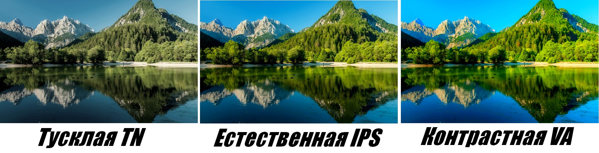 Какие матрицы лучше va или. Va vs IPS матрица. Разница va и IPS матрицы. Сравнение va и IPS матрицы мониторов. Тип матрицы экрана *va.